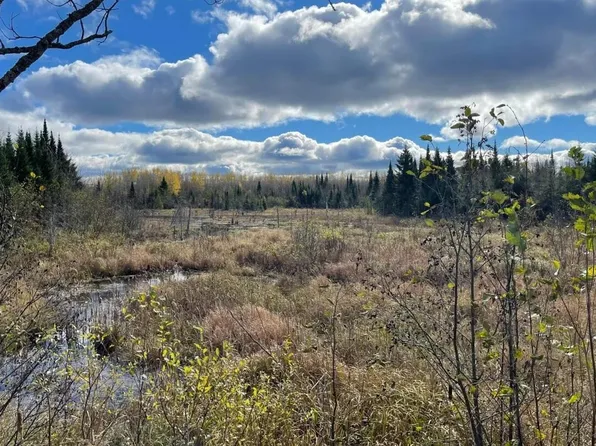 11900 W Irish Line Rd, Brimley, MI 49715