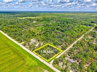 NE 10th St LOT 5, Williston, FL 32696