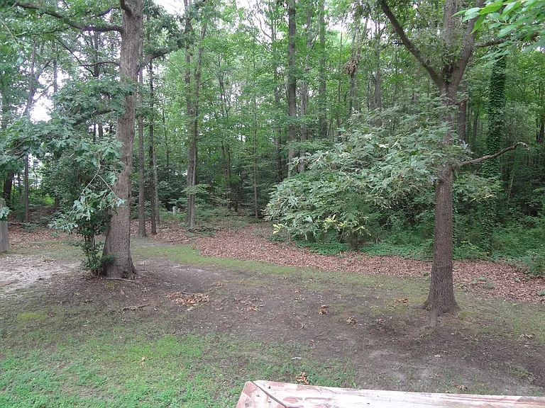 10649 Genlou Rd — Photo 16