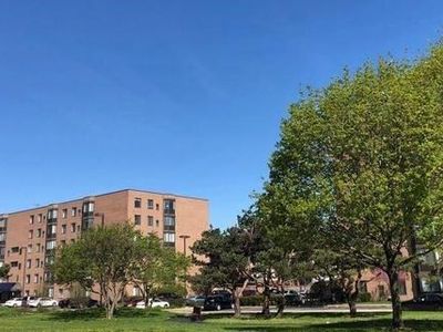 606 E Woodland Park Ave, Chicago, IL, 60616
