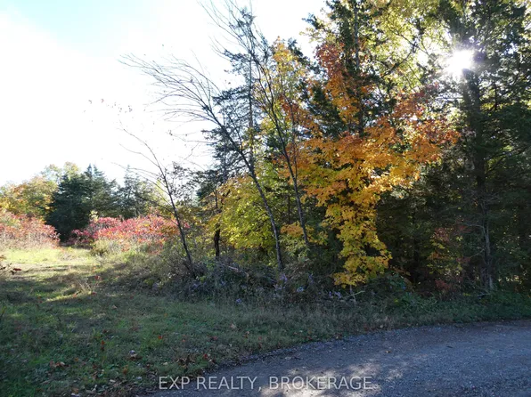 Opinicon Rd Lot 23, South Frontenac, ON K0H 2L0