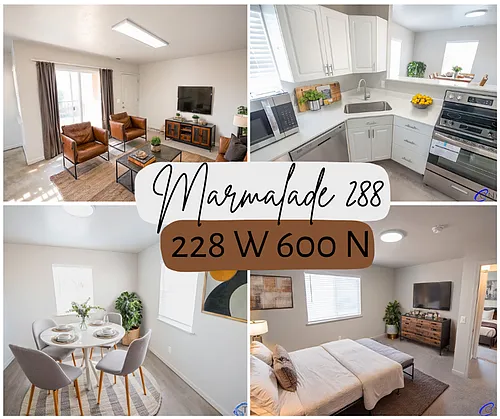 Marmalade 228 Photo 1