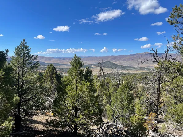 33550 N 10900 E, Fairview, UT 84629