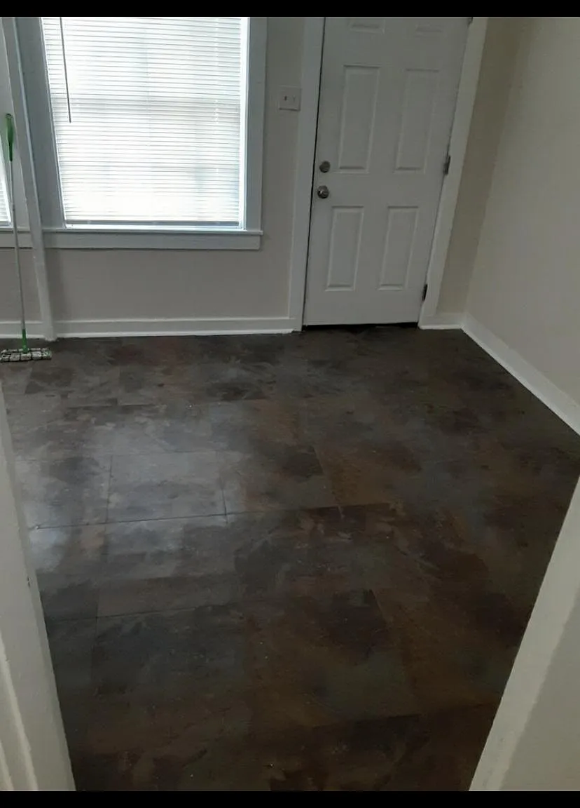 1 bed, 350 sqft, $700 — Photo 3
