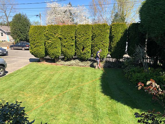 Front yard