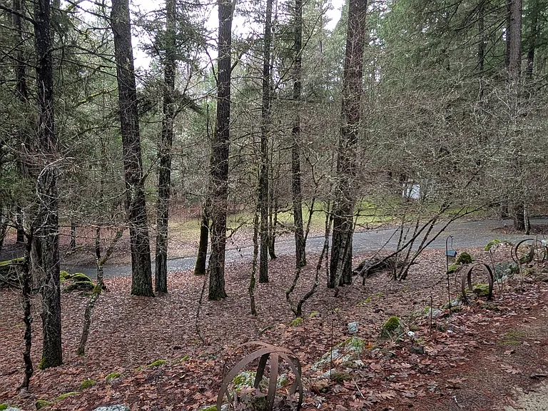 7312 E Evans Creek Rd — Photo 38