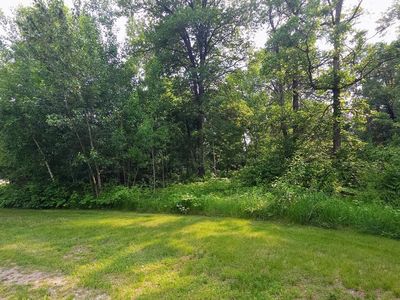 L2 Josh Ct #1, Pequot Lakes, MN, 56472