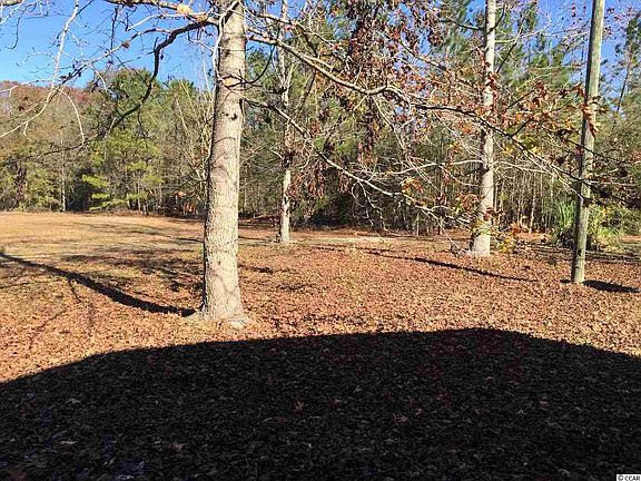 4th image of 1243 Meadow Wood Lake Ln