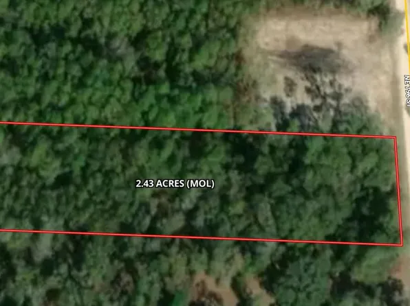 Lot 2 NE 796th St, Old Town, FL 32680