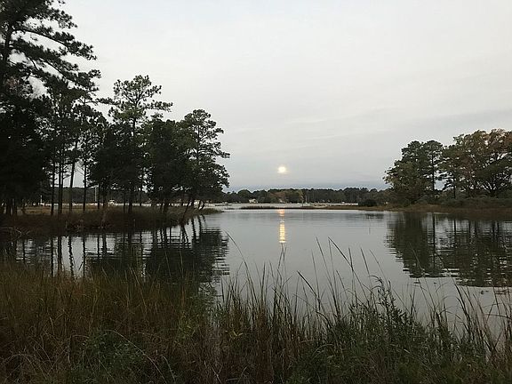 Novembers "Beaver Full Moon"