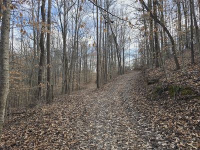 3 Maple Grove Rd, Orlando, KY, 40460