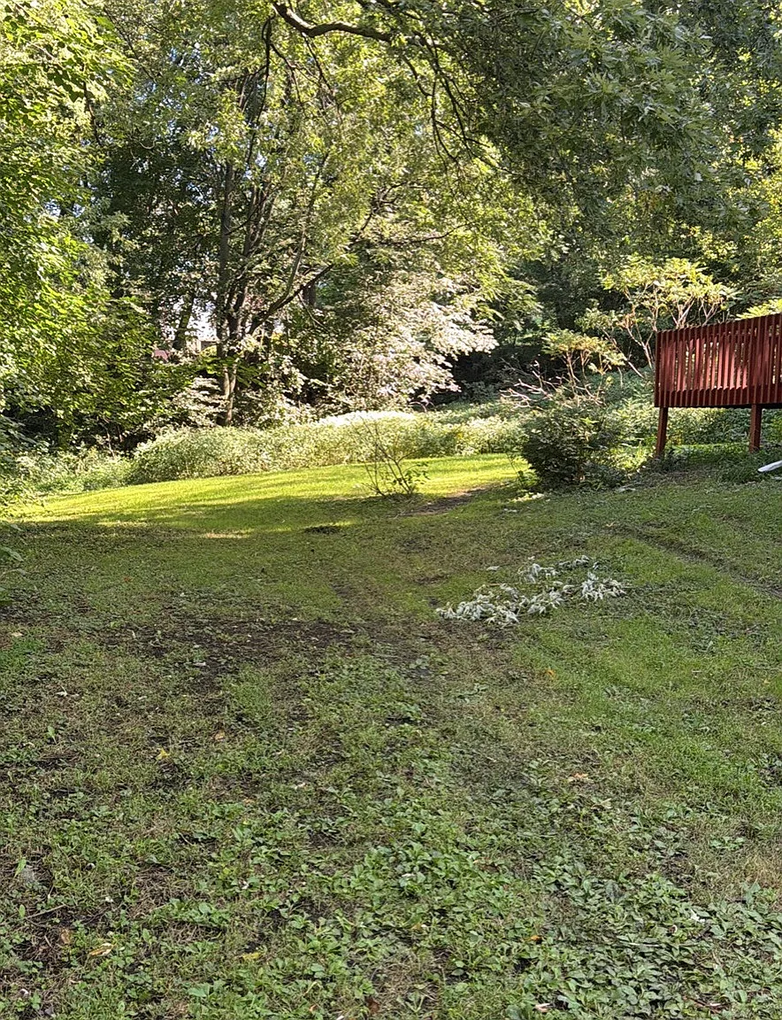 3 bed, 1.5 bath, 1280 sqft, $1,400 — Photo 2