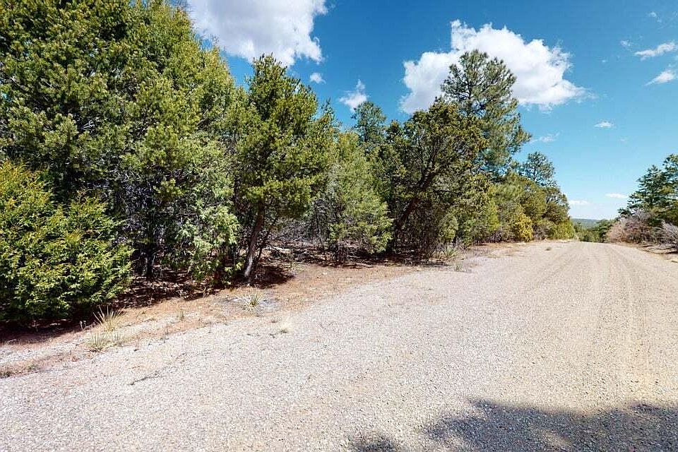 1st image of 15 Secret Pines Ct