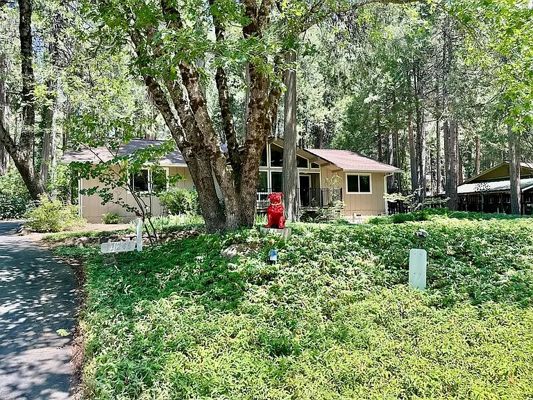 13246 Red Dog Rd — Photo 45