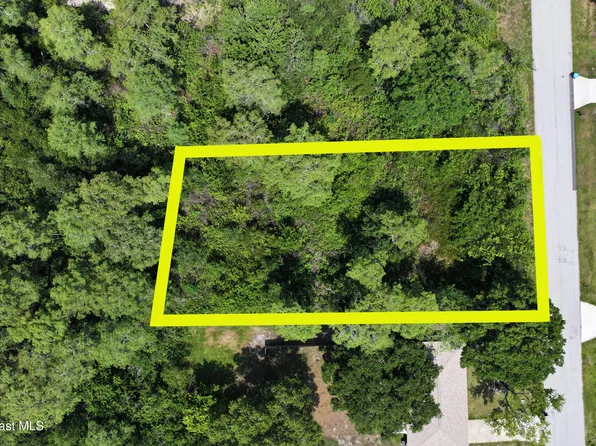 1317 Sagbloom St SE, Palm Bay, FL 32909