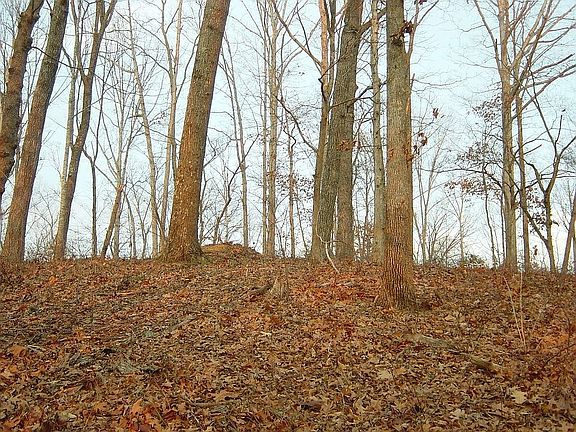 Cul-de-sac .85 Acre Lot