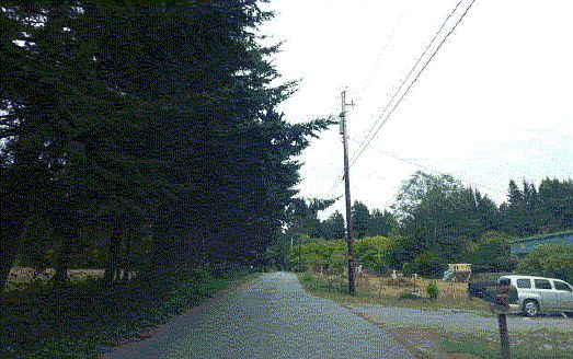 5th image of 395 Laguna Ave