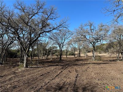 TRACT 1 Fm 2955, Gatesville, TX, 76528