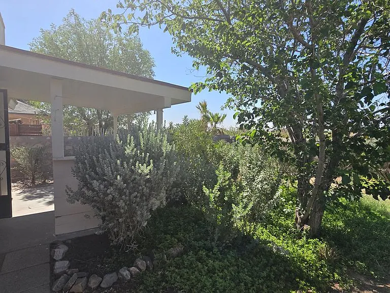4536 General Maloney Cir — Photo 30