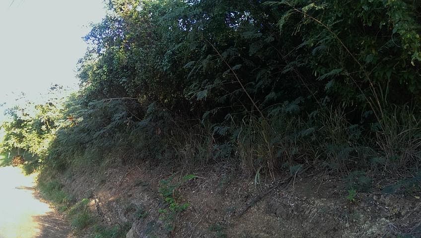 2nd image of 19D Whim