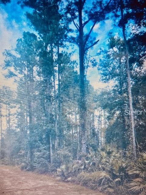 2nd image of 1 NE 141st Ct