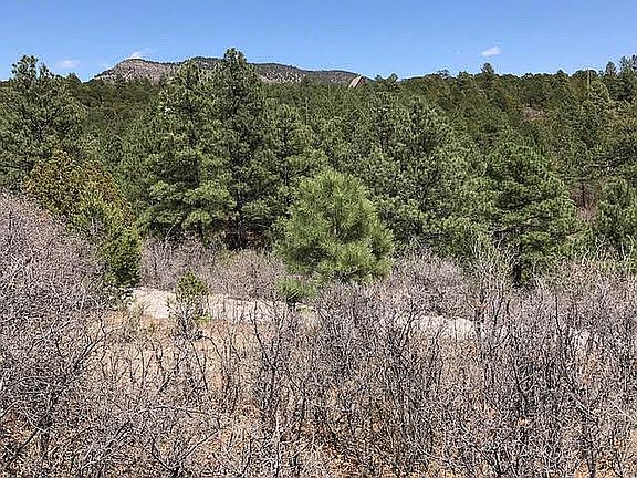 Winter view looking east
