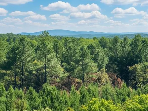20 Charmed Ridge Ln #8, Broken Bow, OK 74728