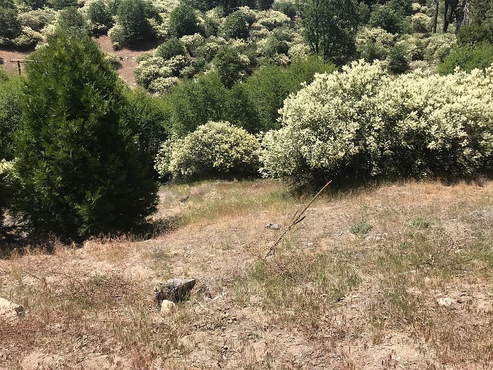 2nd image of 29865 Hook Creek Rd
