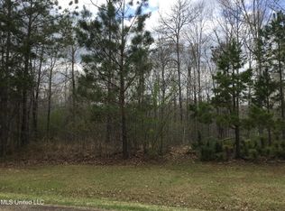 0 Sleepy Hollow Rd LOT 17, Terry, MS 39170