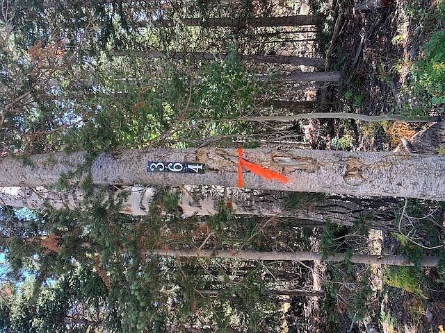 1st image of 364 N Elk Dr