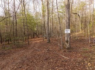 Township Road 2 East New Hope Road Trl #2, Ellijay, GA 30536