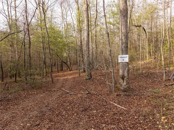 Township Road 2 East New Hope Road Trl #2, Ellijay, GA 30536