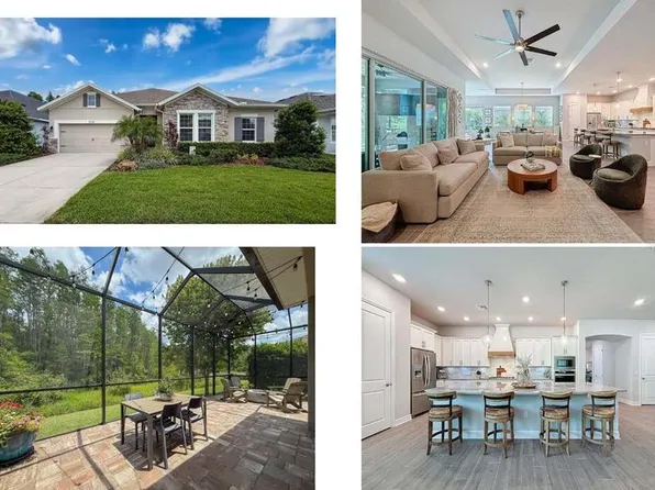 15355 Renaissance Ave, Odessa, FL 33556