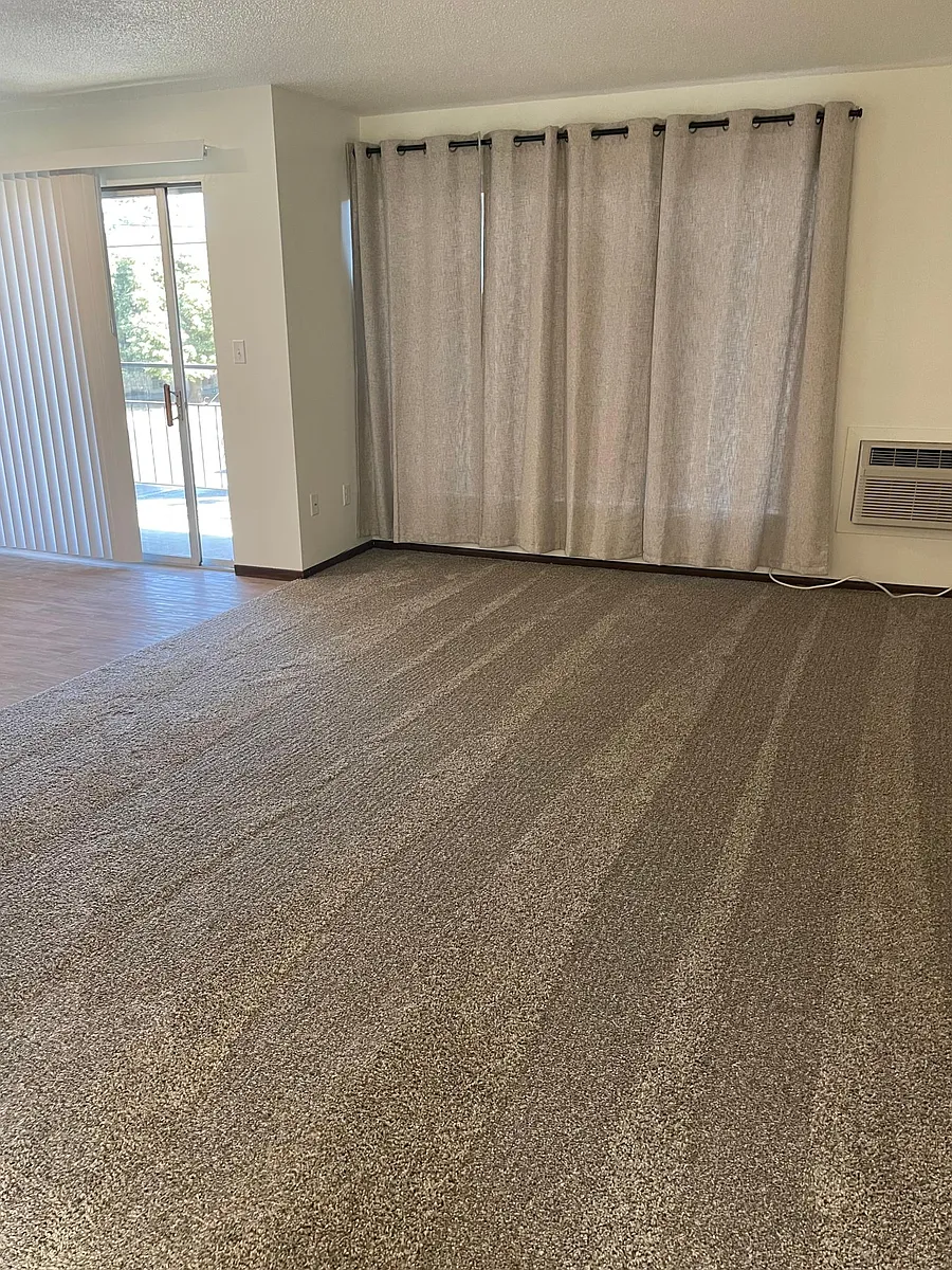 living/dining windows - 712 E 6th Ave #204
