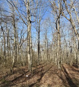 0 Antietam Rd Lot 108, Beechgrove, TN, 37018