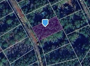 120 Blue Gill Ln, Ridgeland, SC 29936