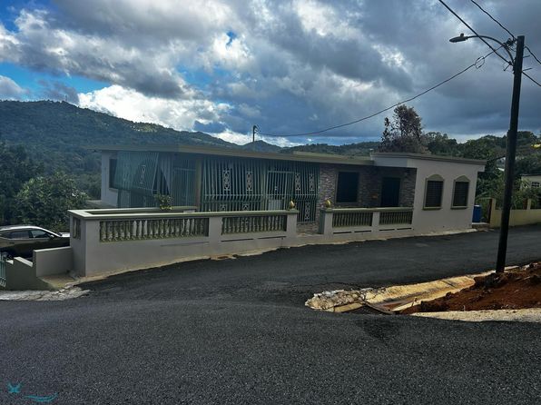 241 Comunidad Alerta, Maricao, PR 00606
