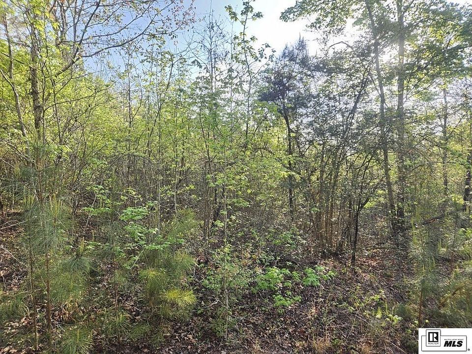 2nd image of 0 Richard Linder Rd