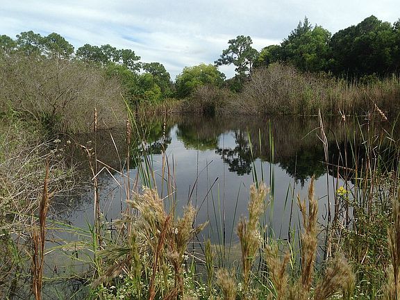 deep water lake was stocked 