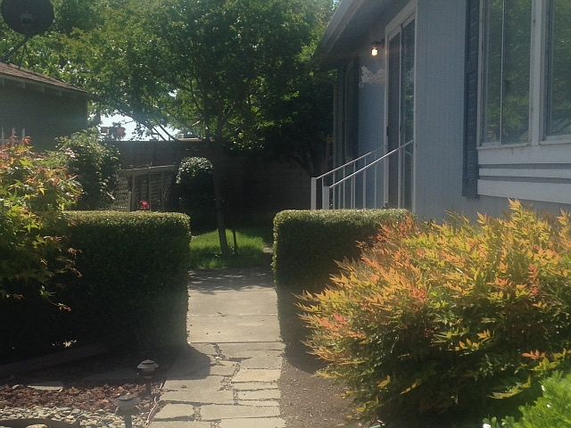 Beautifully landscaped