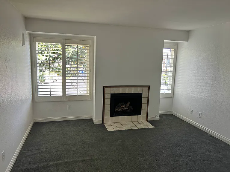 866 Hollyhock Ct — Photo 13