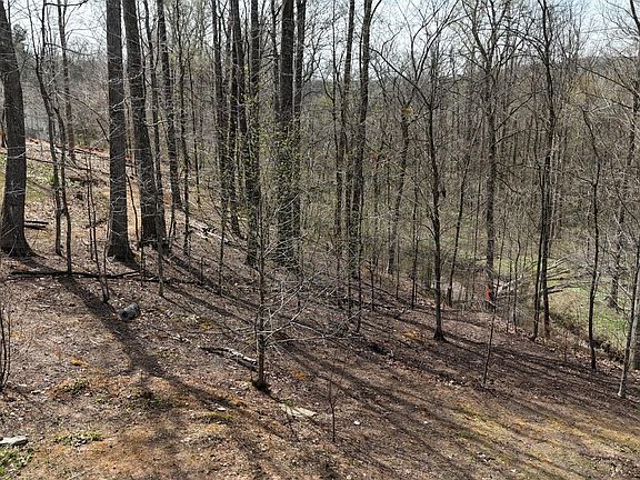 2nd image of 561 Geren Subdivision Ln