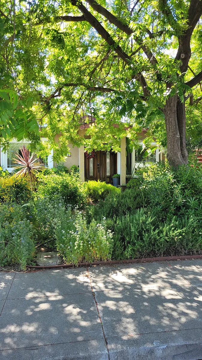 Building Photo - 1071 Robbia Dr