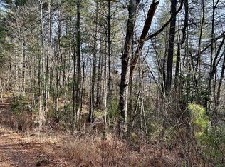 Brook Ct, Ellijay, GA 30540