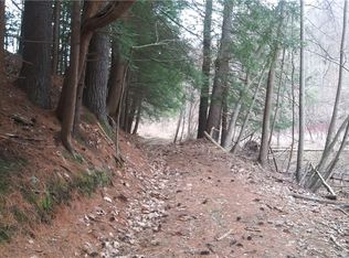 0 Poags Hole Rd, Dansville, NY 14437