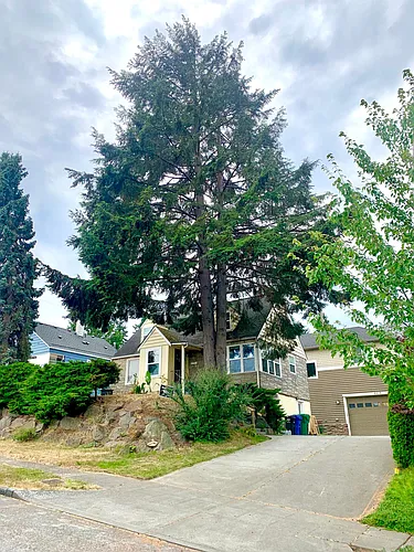 4411 Williams Ave W Photo 1