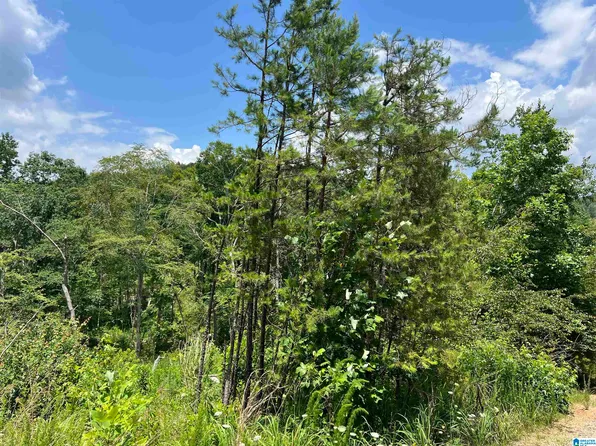 40 County Road 214, Delta, AL 36258