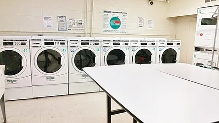 Rented by Azure Realty NY LLC