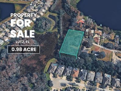 Blount Rd Lot 16, Lutz, FL, 33558