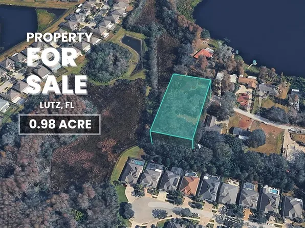 Blount Rd Lot 16, Lutz, FL 33558